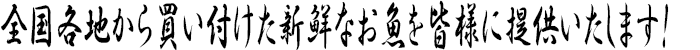 全国各地から買い付けた新鮮なお魚を皆様に提供いたします! 全国各地から買い付けた新鮮なお魚を皆様に提供いたします!